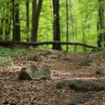 Co dalej z rezerwatem koło Bliżyna?