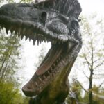 14.05.2020. Bałtów / Wiktor Taszłow / Radio Kielce