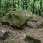 04.05.2020. Rezerwat przyrody Perzowa Góra / Wiktor Taszłow / Radio Kielce