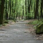 04.05.2020. Rezerwat przyrody Perzowa Góra / Wiktor Taszłow / Radio Kielce