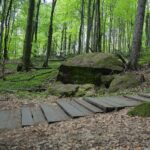 04.05.2020. Rezerwat przyrody Perzowa Góra / Wiktor Taszłow / Radio Kielce