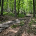 04.05.2020. Rezerwat przyrody Perzowa Góra / Wiktor Taszłow / Radio Kielce