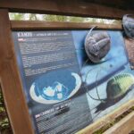 14.05.2020. Bałtów / Wiktor Taszłow / Radio Kielce