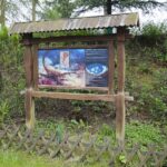 14.05.2020. Bałtów / Wiktor Taszłow / Radio Kielce