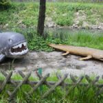 14.05.2020. Bałtów / Wiktor Taszłow / Radio Kielce