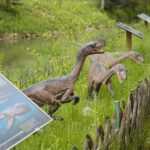 14.05.2020. Bałtów / Wiktor Taszłow / Radio Kielce