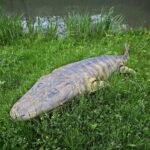 14.05.2020. Bałtów / Wiktor Taszłow / Radio Kielce