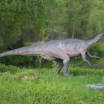 14.05.2020. Bałtów / Wiktor Taszłow / Radio Kielce