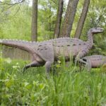 14.05.2020. Bałtów / Wiktor Taszłow / Radio Kielce