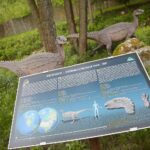 14.05.2020. Bałtów / Wiktor Taszłow / Radio Kielce