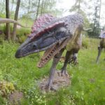 14.05.2020. Bałtów / Wiktor Taszłow / Radio Kielce