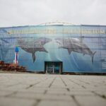 14.05.2020. Bałtów / Wiktor Taszłow / Radio Kielce