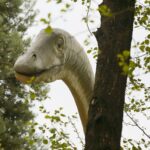 14.05.2020. Bałtów / Wiktor Taszłow / Radio Kielce