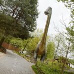 14.05.2020. Bałtów / Wiktor Taszłow / Radio Kielce