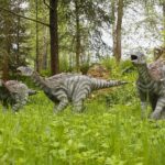 14.05.2020. Bałtów / Wiktor Taszłow / Radio Kielce