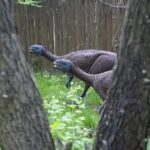 14.05.2020. Bałtów / Wiktor Taszłow / Radio Kielce