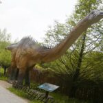 14.05.2020. Bałtów / Wiktor Taszłow / Radio Kielce