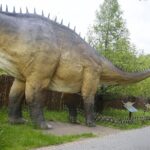 14.05.2020. Bałtów / Wiktor Taszłow / Radio Kielce