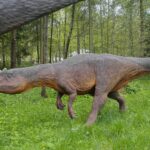 14.05.2020. Bałtów / Wiktor Taszłow / Radio Kielce