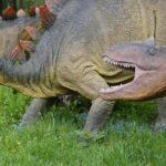 14.05.2020. Bałtów / Wiktor Taszłow / Radio Kielce