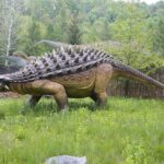 14.05.2020. Bałtów / Wiktor Taszłow / Radio Kielce