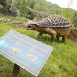 14.05.2020. Bałtów / Wiktor Taszłow / Radio Kielce