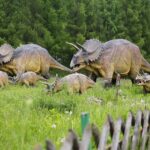 14.05.2020. Bałtów / Wiktor Taszłow / Radio Kielce