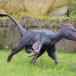 14.05.2020. Bałtów / Wiktor Taszłow / Radio Kielce