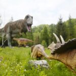 14.05.2020. Bałtów / Wiktor Taszłow / Radio Kielce