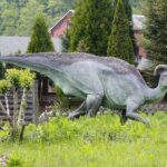 14.05.2020. Bałtów / Wiktor Taszłow / Radio Kielce