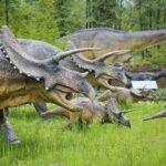 14.05.2020. Bałtów / Wiktor Taszłow / Radio Kielce