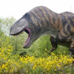 14.05.2020. Bałtów / Wiktor Taszłow / Radio Kielce