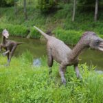 14.05.2020. Bałtów / Wiktor Taszłow / Radio Kielce