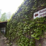 14.05.2020. Bałtów / Wiktor Taszłow / Radio Kielce