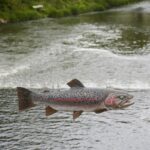 14.05.2020. Bałtów / Wiktor Taszłow / Radio Kielce