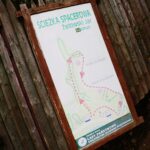 14.05.2020. Bałtów / Wiktor Taszłow / Radio Kielce