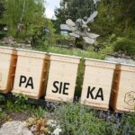 14.05.2020. Bałtów / Wiktor Taszłow / Radio Kielce