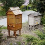 14.05.2020. Bałtów / Wiktor Taszłow / Radio Kielce