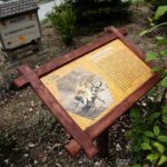 14.05.2020. Bałtów / Wiktor Taszłow / Radio Kielce