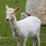 14.05.2020. Bałtów / Wiktor Taszłow / Radio Kielce