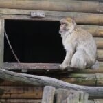 14.05.2020. Bałtów / Wiktor Taszłow / Radio Kielce