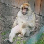 14.05.2020. Bałtów / Wiktor Taszłow / Radio Kielce