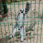 14.05.2020. Bałtów / Wiktor Taszłow / Radio Kielce