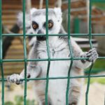 14.05.2020. Bałtów / Wiktor Taszłow / Radio Kielce