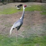 14.05.2020. Bałtów / Wiktor Taszłow / Radio Kielce