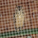 14.05.2020. Bałtów / Wiktor Taszłow / Radio Kielce