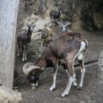 14.05.2020. Bałtów / Wiktor Taszłow / Radio Kielce