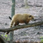 14.05.2020. Bałtów / Wiktor Taszłow / Radio Kielce