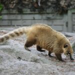 14.05.2020. Bałtów / Wiktor Taszłow / Radio Kielce