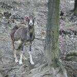 14.05.2020. Bałtów / Wiktor Taszłow / Radio Kielce